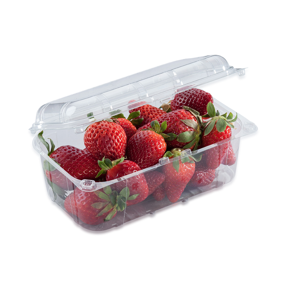 RPET Clamshell Punnet (F500/KIT500 Style) 190x115x53mm - Westpak