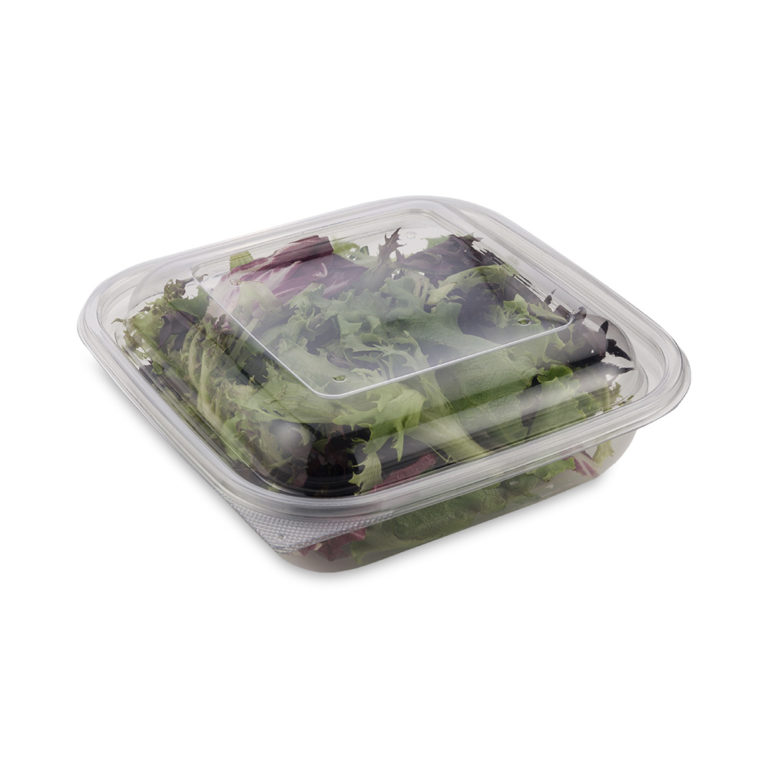 rPET Clear Square Lid for 750/1000ml Salad Bowl 189x189x23mm - Westpak